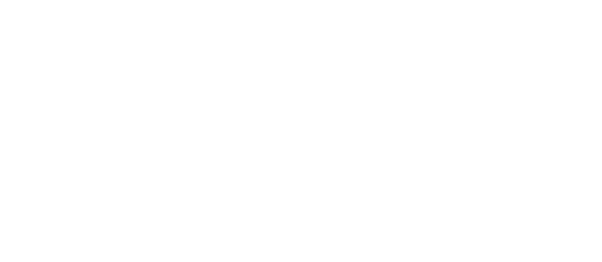 Lotus Professional Salon